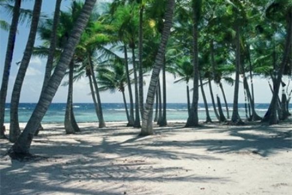 Hotel PALMS AT PELICAN COVE (Christiansted)